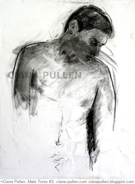 Male Torso 2, Drawing from 2010 by Ciana Pullen; Dimensions: 18 inches × 24 inches × 0 inch; Materials: Charcoal on Paper; Description:  © Ciana Pullen 2010